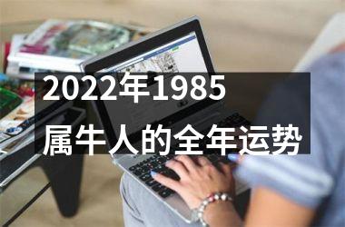 2025年1985属牛人的全年运势