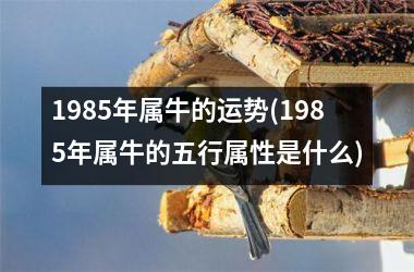 1985年属牛的运势(1985年属牛的五行属性是什么)