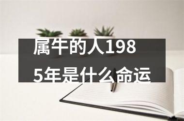 属牛的人1985年是什么命运