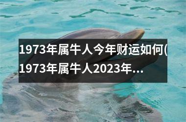 1973年属牛人今年财运如何(1973年属牛人2025年运势运程)