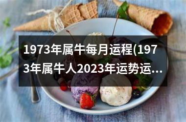 <h3>1973年属牛每月运程(1973年属牛人2025年运势运程)