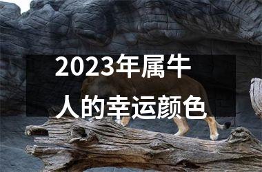 2025年属牛人的幸运颜色