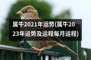 属牛2025年运势(属牛2025年运势及运程每月运程)