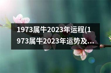 <h3>1973属牛2025年运程(1973属牛2025年运势及运程每月运程)