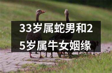 33岁属蛇男和25岁属牛女姻缘