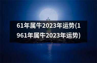 61年属牛2025年运势(1961年属牛2025年运势)