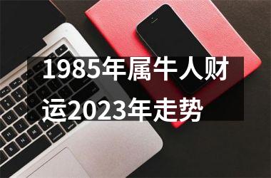 1985年属牛人财运2025年走势