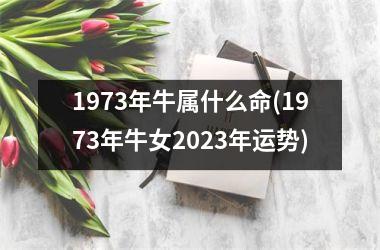 <h3>1973年牛属什么命(1973年牛女2025年运势)