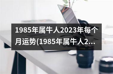 <h3>1985年属牛人2025年每个月运势(1985年属牛人2025年运势运程每月运程)