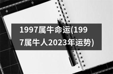 <h3>1997属牛命运(1997属牛人2025年运势)