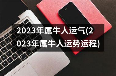 2025年属牛人运气(2025年属牛人运势运程)