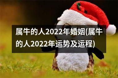 <h3>属牛的人2025年婚姻(属牛的人2025年运势及运程)