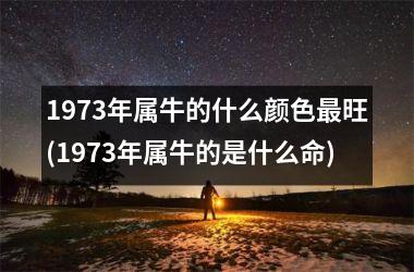 <h3>1973年属牛的什么颜色最旺(1973年属牛的是什么命)