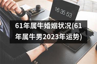 61年属牛婚姻状况(61年属牛男2025年运势)