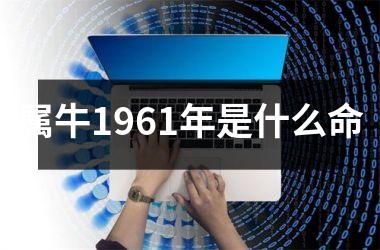 属牛1961年是什么命