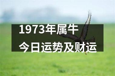 <h3>1973年属牛今日运势及财运