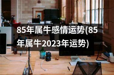 85年属牛感情运势(85年属牛2025年运势)