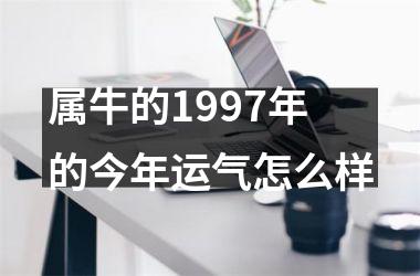 属牛的1997年的今年运气怎么样