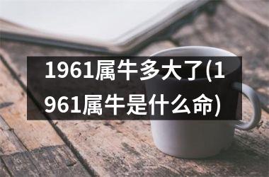 1961属牛多大了(1961属牛是什么命)