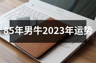 85年男牛2025年运势