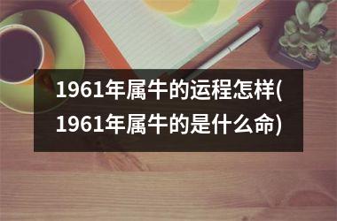 1961年属牛的运程怎样(1961年属牛的是什么命)