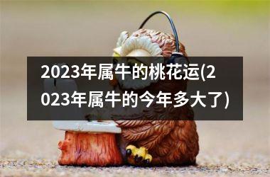 2025年属牛的桃花运(2025年属牛的今年多大了)