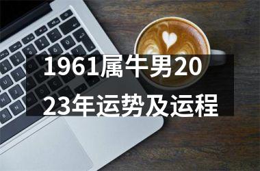 <h3>1961属牛男2025年运势及运程