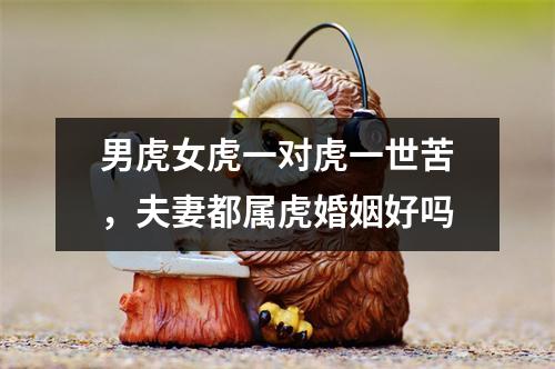 <h3>男虎女虎一对虎一世苦，夫妻都属虎婚姻好吗