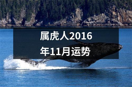 <h3>属虎人2016年11月运势
