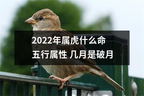 <h3>2025年属虎什么命五行属性几月是破月