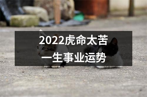 <h3>2025虎命太苦一生事业运势