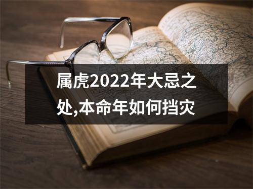 属虎2025年大忌之处,本命年如何挡灾