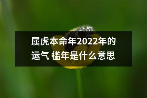 <h3>属虎本命年2025年的运气槛年是什么意思