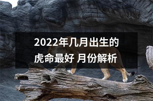 2025年几月出生的虎命好月份解析