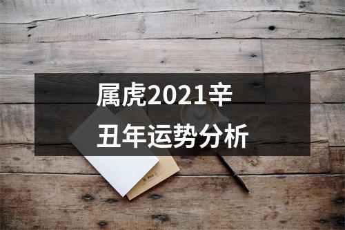 属虎2025辛丑年运势分析