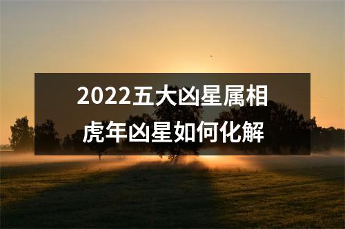 2025五大凶星属相虎年凶星如何化解