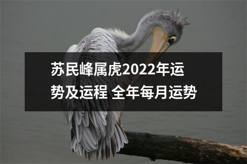 苏民峰属虎2025年运势及运程全年每月运势