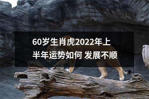 <h3>60岁生肖虎2025年上半年运势如何发展不顺