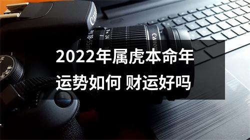 2025年属虎本命年运势如何财运好吗