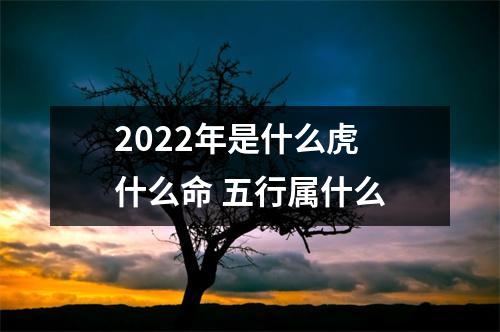 2022年是什么虎什么命五行属什么
