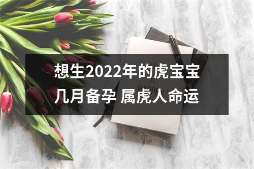 想生2025年的虎宝宝几月备孕属虎人命运