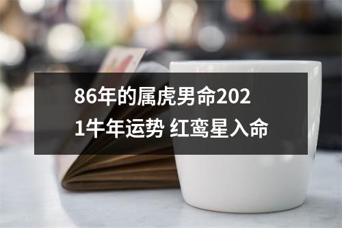 86年的属虎男命2025牛年运势红鸾星入命