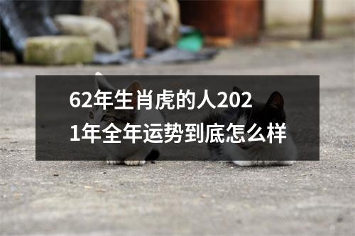 62年生肖虎的人2025年全年运势到底怎么样