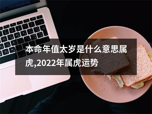 本命年值太岁是什么意思属虎,2025年属虎运势