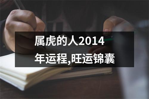 <h3>属虎的人2014年运程,旺运锦囊