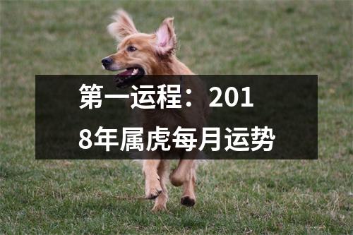 第一运程：2018年属虎每月运势