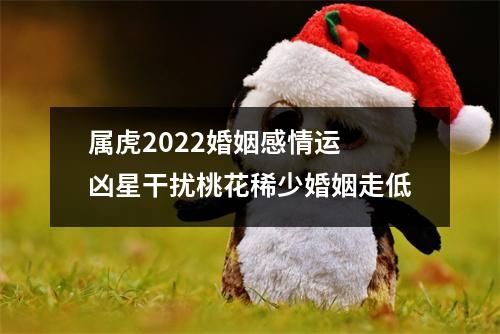 属虎2025婚姻感情运凶星干扰桃花稀少婚姻走低