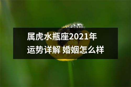 属虎水瓶座2025年运势详解婚姻怎么样