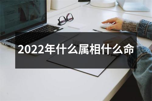 2025年什么属相什么命