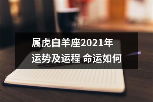 <h3>属虎白羊座2021年运势及运程命运如何